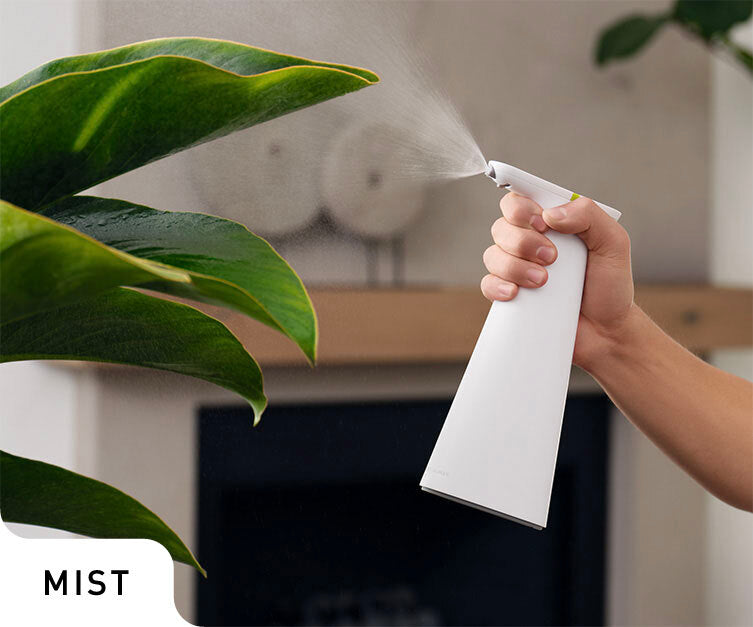 Simplehuman's Sensor Spray with mist setting. 